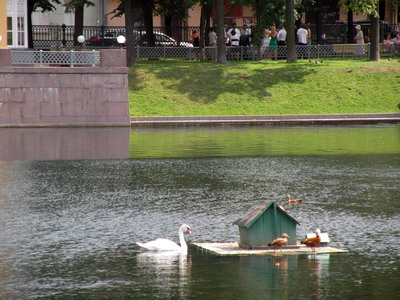 �������� �����������