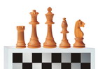 110908_шахматы